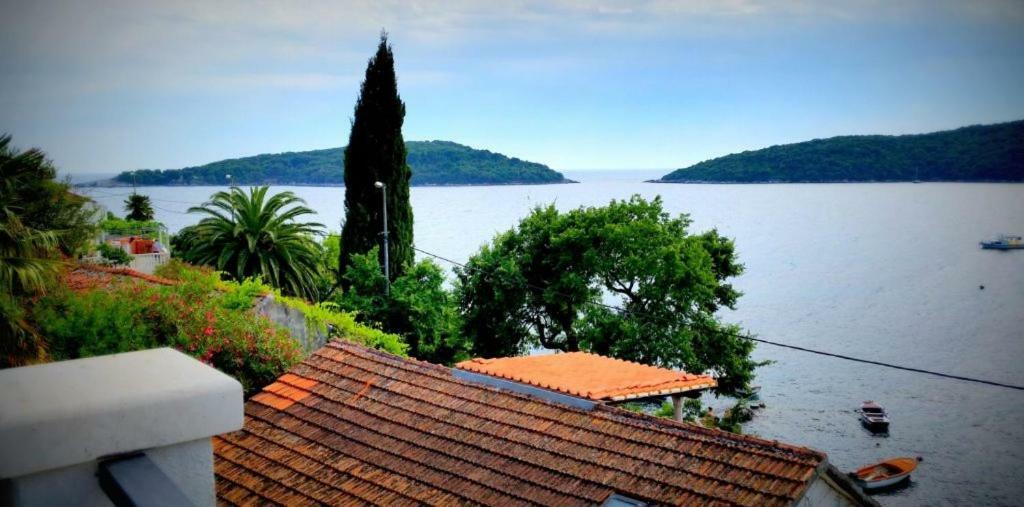 Villa Riva Molunat Exterior photo